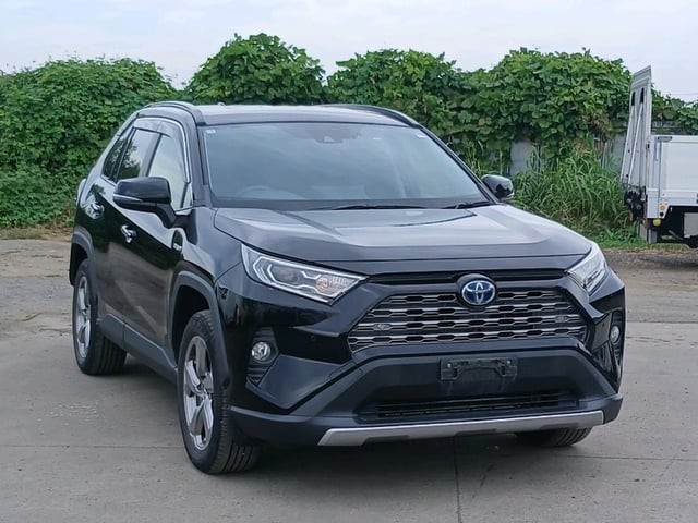 2019 Toyota RAV4 HV