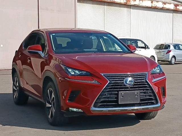 2019 Lexus NX300H