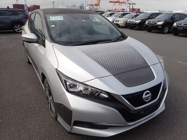 2019 Nissan Leaf