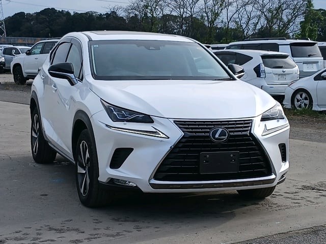 2017 Lexus NX300H