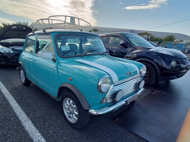 Rover MINI
