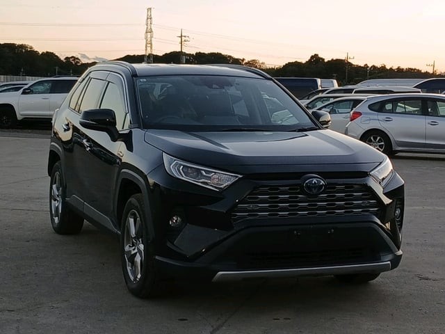2019 Toyota RAV4 HV