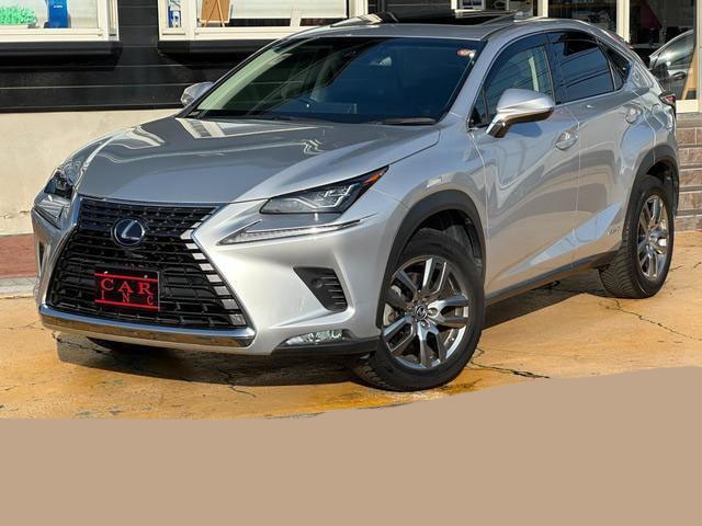 2019 Lexus NX300H
