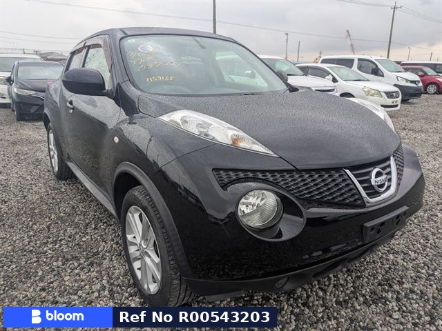 2011 Nissan Juke