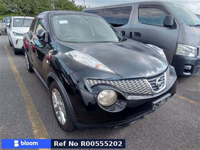2011 Nissan Juke