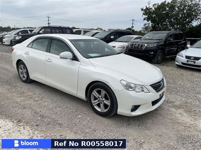 2010 Toyota Mark X