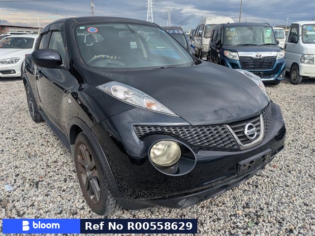 2012 Nissan Juke