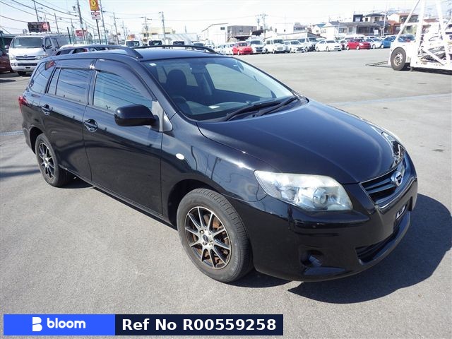 2009 Toyota Fielder