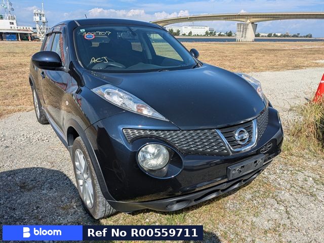2013 Nissan Juke