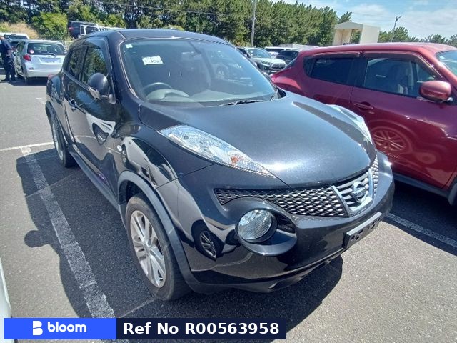 2013 Nissan Juke