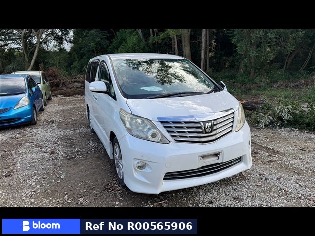 2010 Toyota Alphard